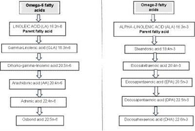 Optimal omegas – barriers and novel methods to narrow omega-3 gaps. A narrative review